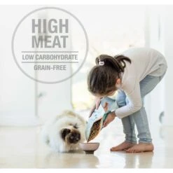 Feline Natural Lamb & King Salmon Feast Grain-Free Freeze-Dried Cat Food -Furry Friends 157144 PT5. AC SS1800 V1692135589