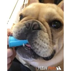H&H Pets Finger Dog & Cat Toothbrush -Furry Friends 157146 PT5. AC SS1800 V1617323493