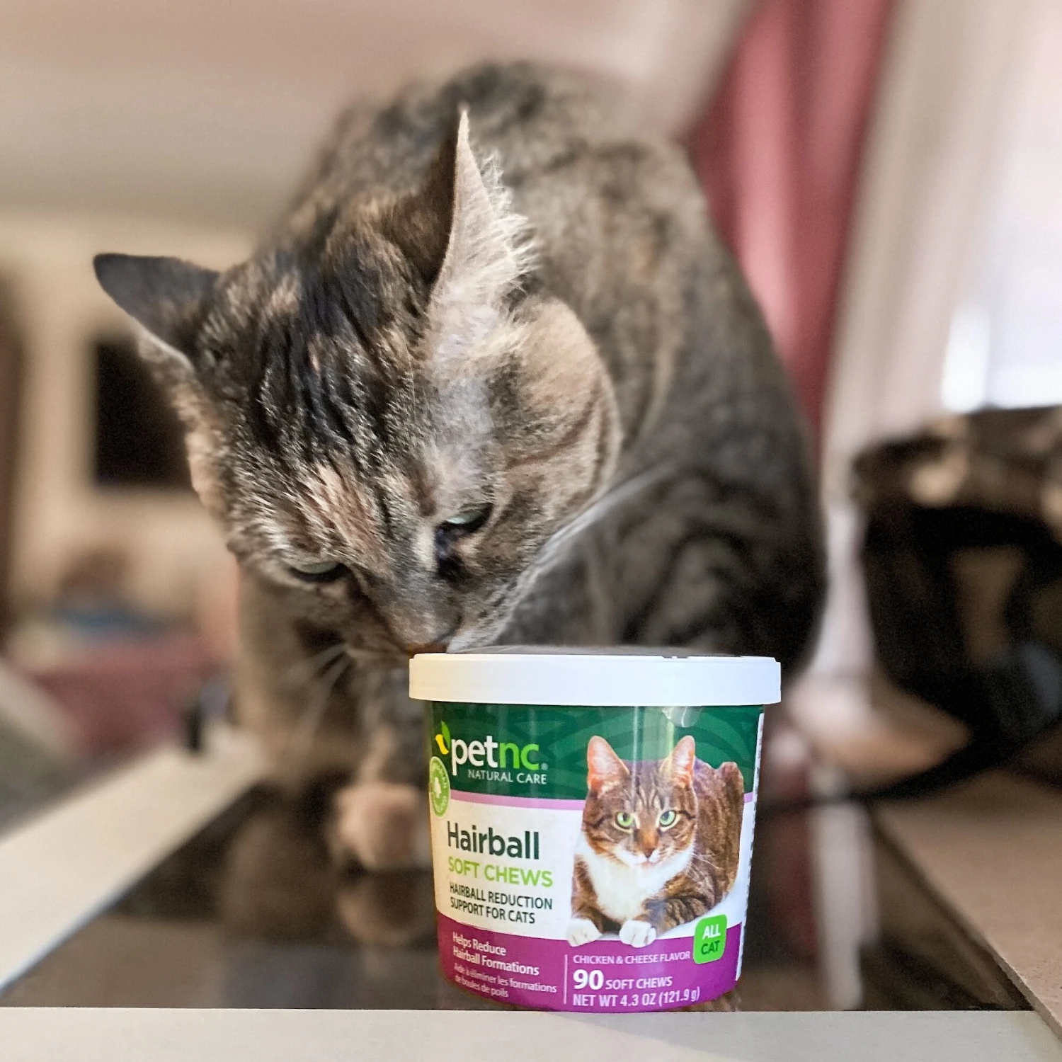 PetNC Natural Care Hairball Reduction Cat Soft Chews 9 PetNC Natural Care Hairball Reduction Cat Soft Chews - Image 7