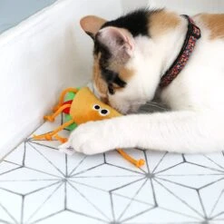 Mad Cat Tabby Taco Catnip & Silvervine Cat Toy 9 Mad Cat Tabby Taco Catnip & Silvervine Cat Toy -Furry Friends 157302 PT4. AC SS1800 V1637611067