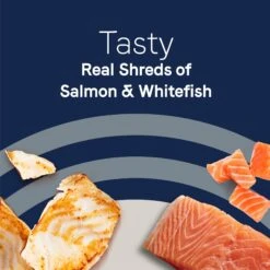 CANIDAE Adore Grain-Free Salmon & Whitefish In Broth Canned Cat Food -Furry Friends 157473 PT4. AC SS1800 V1657656007