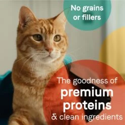 CANIDAE Adore Grain-Free Salmon & Whitefish In Broth Canned Cat Food -Furry Friends 157473 PT5. AC SS1800 V1657656008