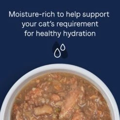 CANIDAE Adore Grain-Free Salmon & Whitefish In Broth Canned Cat Food -Furry Friends 157473 PT6. AC SS1800 V1657656008