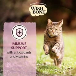 Wishbone Graze New Zealand Beef & Lamb Grain-Free Complete Cat Health Dry Cat Food 16 Wishbone Graze New Zealand Beef & Lamb Grain-Free Complete Cat Health Dry Cat Food -Furry Friends 157491 PT5. AC SS1800 V1702503577