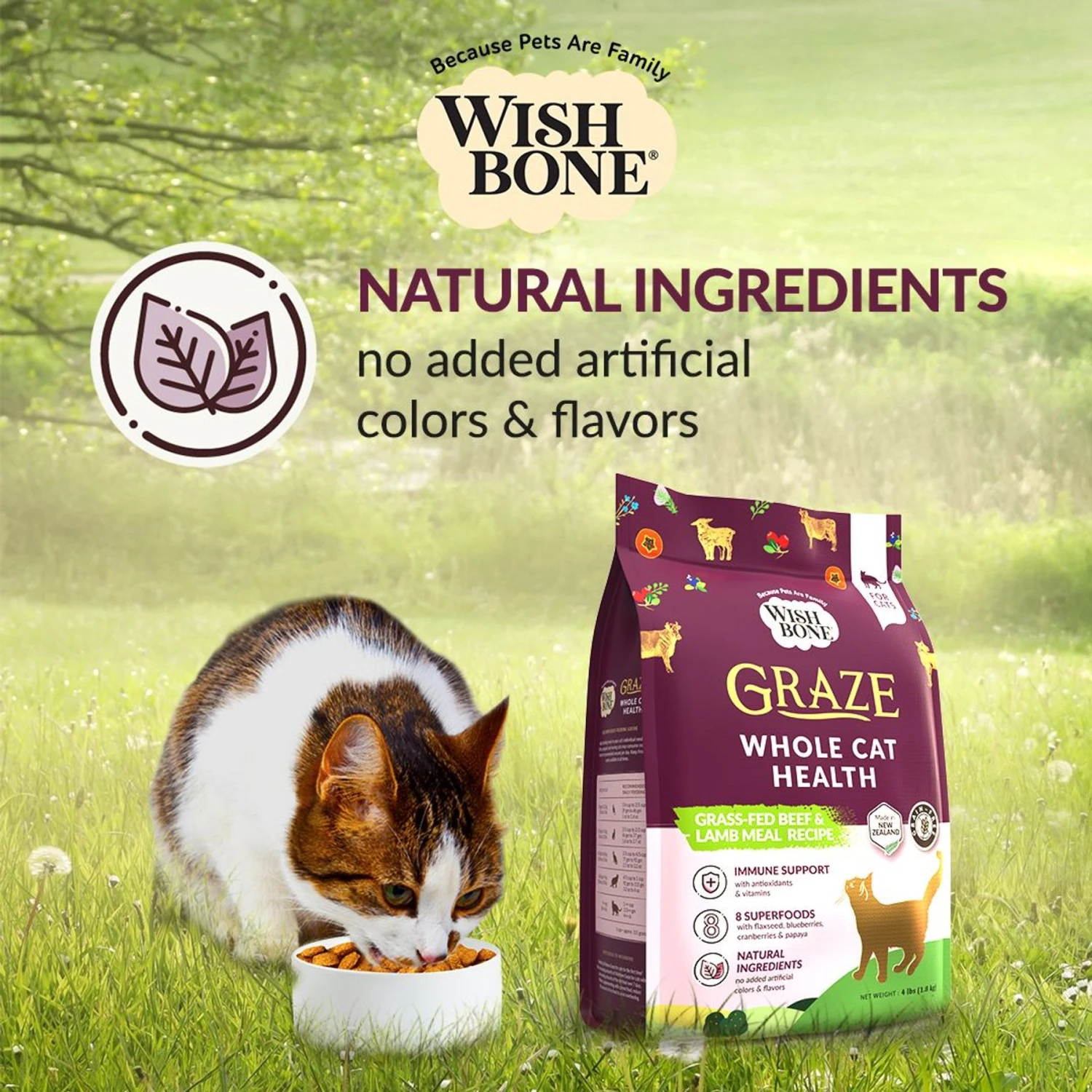 Wishbone Graze New Zealand Beef & Lamb Grain-Free Complete Cat Health Dry Cat Food 9 Wishbone Graze New Zealand Beef & Lamb Grain-Free Complete Cat Health Dry Cat Food - Image 7