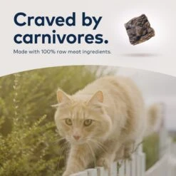 ZIWI Peak Air-Dried Lamb Recipe Cat Food -Furry Friends 157498 PT6. AC SS1800 V1703276804