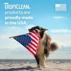 TropiClean Cherry Blossom Highly Concentrated Dog & Cat Shampoo -Furry Friends 158172 PT4. AC SS1800 V1694792212