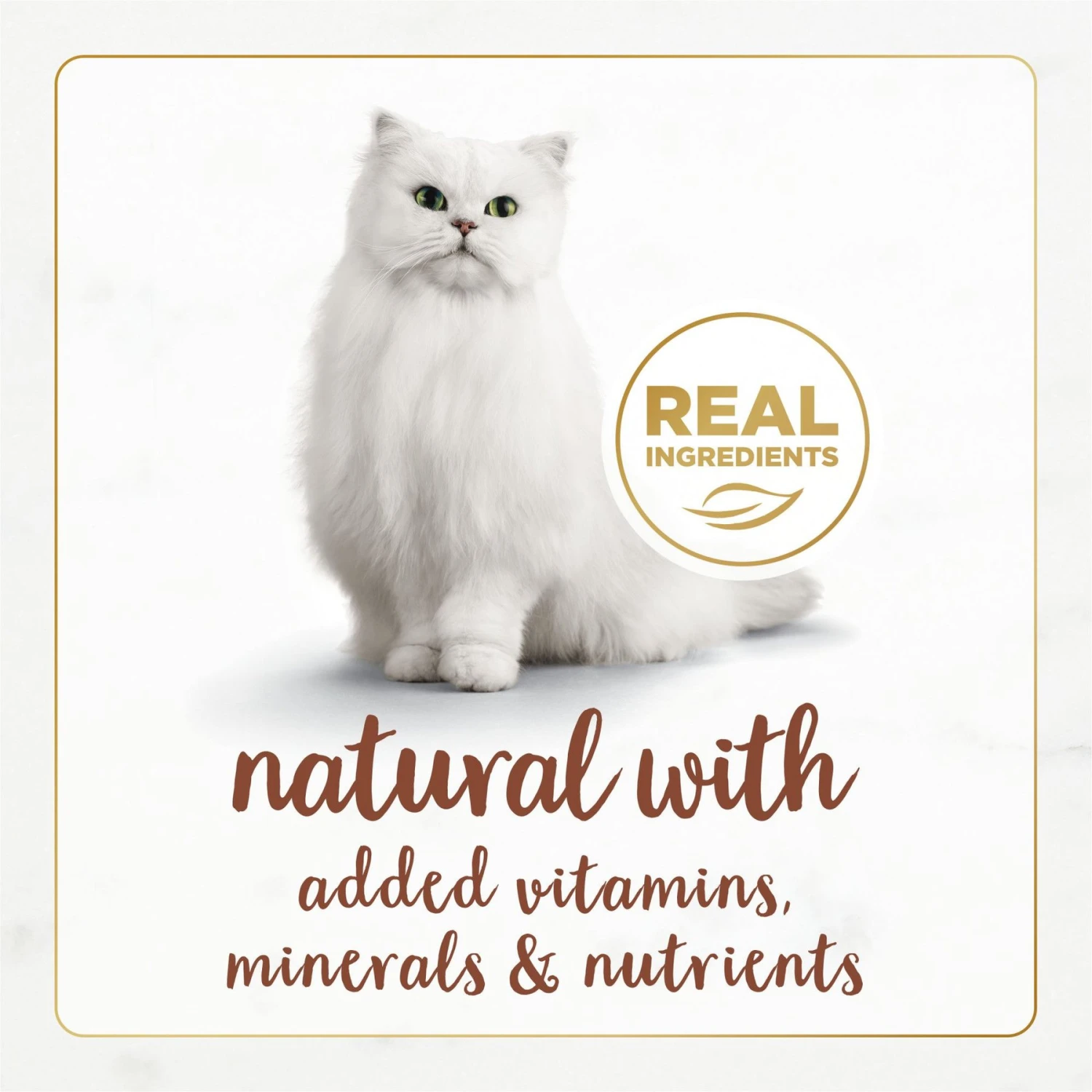 Fancy Feast Gourmet Naturals Poultry & Beef Variety Pack Canned Cat Food 6 Fancy Feast Gourmet Naturals Poultry & Beef Variety Pack Canned Cat Food - Image 4