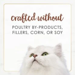 Fancy Feast Gourmet Naturals Poultry & Beef Variety Pack Canned Cat Food 18 Fancy Feast Gourmet Naturals Poultry & Beef Variety Pack Canned Cat Food -Furry Friends 158492 PT7. AC SS1800 V1677103480