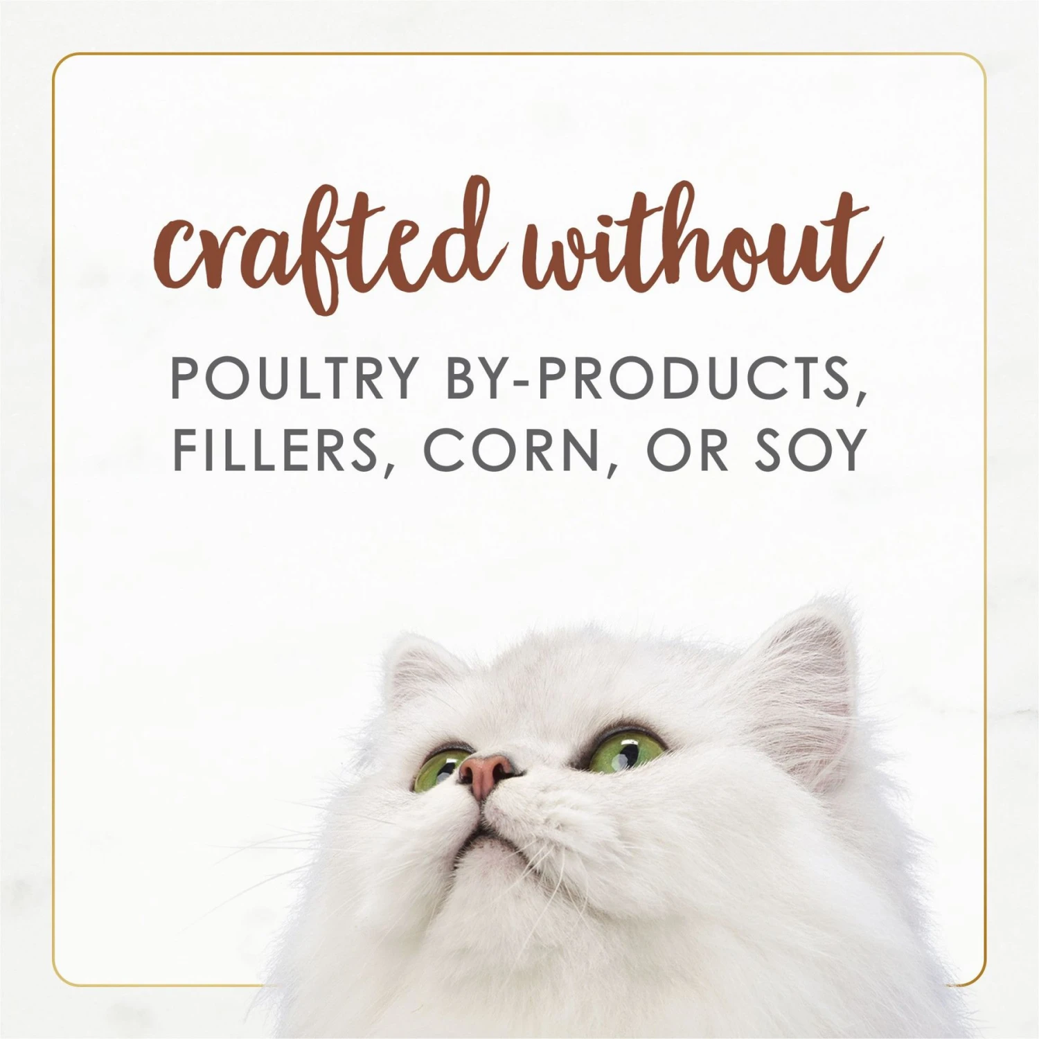 Fancy Feast Gourmet Naturals Poultry & Beef Variety Pack Canned Cat Food 10 Fancy Feast Gourmet Naturals Poultry & Beef Variety Pack Canned Cat Food - Image 8