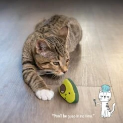 Catstages Lil' Avocato Cat Toy With Catnip -Furry Friends 158555 PT5. AC SS1800 V1636513980
