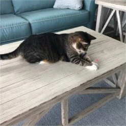 Pet Fit For Life 2 In 1 LED Laser Light & Interactive Wand Cat Toy -Furry Friends 159020 PT2. AC SS1800 V1589320987