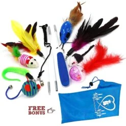 Pet Fit For Life Interactive Wand Teaser, Toys & Storage Bag 8 Piece Bundle Cat Toy