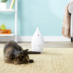 PetSafe Zoom Rotating Laser Cat Toy 12 PetSafe Zoom Rotating Laser Cat Toy -Furry Friends 159067 PT2. AC SS1800 V1558467440