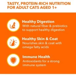 Iams Perfect Portions Indoor Tuna & Salmon Recipe Grain-Free Cuts In Gravy Variety Pack Adult Wet Cat Food Trays 12 Iams Perfect Portions Indoor Tuna & Salmon Recipe Grain-Free Cuts In Gravy Variety Pack Adult Wet Cat Food Trays -Furry Friends 159241 PT3. AC SS1800 V1626816690