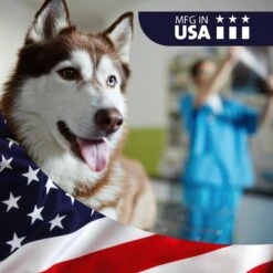 VetWELL EarWELL Otic Cleansing Solution With Aloe Cucumber Melon Scent Dog & Cat Ear Solution -Furry Friends 159294 PT4. AC SS1800 V1552398495