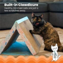 Catstages Fold Away Cat Tunnel Toy -Furry Friends 159439 PT2. AC SS1800 V1636522026