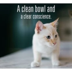 Meat Mates Chicken Dinner Grain-Free Freeze-Dried Cat Food -Furry Friends 159691 PT7. AC SS1800 V1595006458