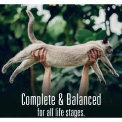 Meat Mates Chicken Dinner Grain-Free Freeze-Dried Cat Food -Furry Friends 159691 PT8. AC SS1800 V1594995054