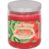 Pet Odor Exterminator Kiwi Twisted Strawberry Deodorizing Candle Jar