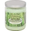Pet Odor Exterminator Bamboo Breeze Deodorizing Candle Jar 2 Pet Odor Exterminator Bamboo Breeze Deodorizing Candle Jar -Furry Friends 159986 MAIN. AC SS1800 V1628688084