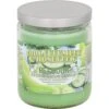 Pet Odor Exterminator Cool Cucumber & Honeydew Candle -Furry Friends 159993 MAIN. AC SS1800 V1628687774