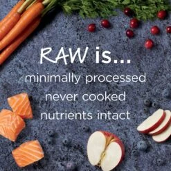 Instinct Raw Boost Grain-Free Recipe With Real Salmon & Freeze-Dried Raw Coated Pieces Dry Cat Food -Furry Friends 160766 PT3. AC SS1800 V1623433968