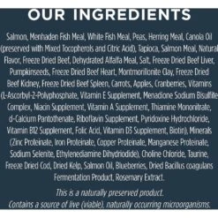 Instinct Raw Boost Grain-Free Recipe With Real Salmon & Freeze-Dried Raw Coated Pieces Dry Cat Food -Furry Friends 160766 PT6. AC SS1800 V1623434280