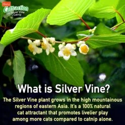 Hartz Cattraction Silver Vine & Catnip Gator Cat Scratcher Toy, Color Varies -Furry Friends 161051 PT4. AC SS1800 V1637163093