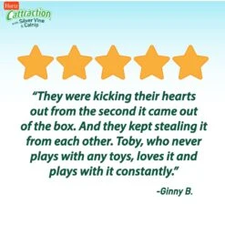 Hartz Cattraction Silver Vine & Catnip Gator Cat Scratcher Toy, Color Varies -Furry Friends 161051 PT6. AC SS1800 V1637163178