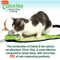Hartz Cattraction Silver Vine & Catnip Gator Cat Scratcher Toy, Color Varies -Furry Friends 161051 PT7. AC SS1800 V1637163140