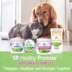 Four Paws Healthy Promise Cat & Dog Ear Wash, 4-oz Bag -Furry Friends 161190 PT8. AC SS1800 V1602847614