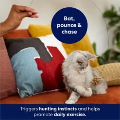 Frisco Cardboard & Wire Teaser Cat Toy -Furry Friends 161194 PT3. AC SS1800 V1686579092