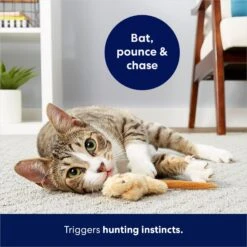 Frisco Skinny Mouse Plush Cat Toy With Catnip -Furry Friends 161268 PT5. AC SS1800 V1686578718