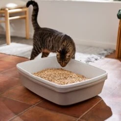 Frisco Pine Pellet Unscented Non-Clumping Wood Cat Litter 13 Frisco Pine Pellet Unscented Non-Clumping Wood Cat Litter -Furry Friends 161458 PT4. AC SS1800 V1659023182