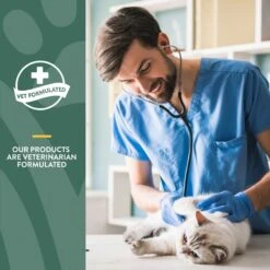 NaturVet Hemp Soft Chews Joint Supplement For Cats 15 NaturVet Hemp Soft Chews Joint Supplement For Cats -Furry Friends 162224 PT5. AC SS1800 V1698691668