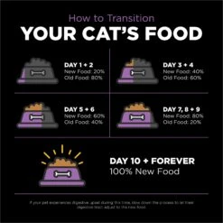 Go! Solutions Carnivore Grain-Free Chicken, Turkey + Duck Recipe Dry Cat Food -Furry Friends 162818 PT7. AC SS1800 V1638487704