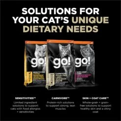 Go! Solutions Carnivore Grain-Free Lamb + Wild Boar Recipe Dry Cat Food -Furry Friends 162830 PT4. AC SS1800 V1638489708