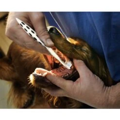 Petosan SilentPower Sonic Double-Headed Dog & Cat Toothbrush -Furry Friends 163015 PT3. AC SS1800 V1554388319