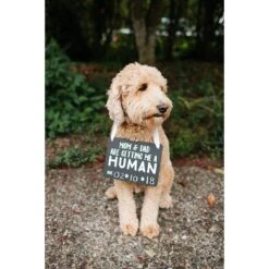 Pearhead Pet Baby Annoucement Chalkboard -Furry Friends 163475 PT3. AC SS1800 V1553698040