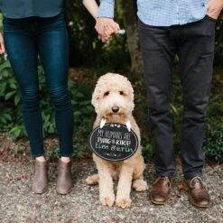Pearhead Pet Wedding Announcement Chalkboard -Furry Friends 163485 PT3. AC SS1800 V1553698057
