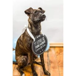 Pearhead Pet Wedding Announcement Chalkboard -Furry Friends 163485 PT4. AC SS1800 V1553698057