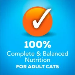 Friskies YUMbelievaBOX YUM-azing Extra Gravy Chunky Variety Pack Canned Cat Food -Furry Friends 163996 PT4. AC SS1800 V1554147424