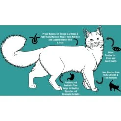 Chicken Soup For The Soul Adult Chicken & Brown Rice Recipe Dry Cat Food 15 Chicken Soup For The Soul Adult Chicken & Brown Rice Recipe Dry Cat Food -Furry Friends 165128 PT4. AC SS1800 V1694721754