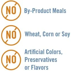 Chicken Soup For The Soul Kitten Chicken & Turkey Recipe Pate Canned Cat Food 11 Chicken Soup For The Soul Kitten Chicken & Turkey Recipe Pate Canned Cat Food -Furry Friends 165135 PT5. AC SS1800 V1600389979