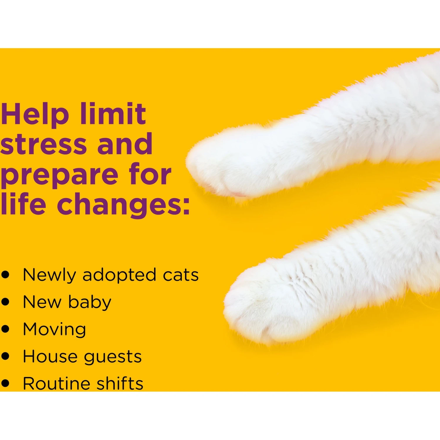 Comfort Zone Calming Diffuser For Cats 5 Comfort Zone Calming Diffuser For Cats - Image 3