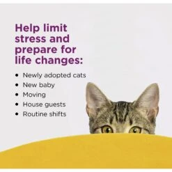 Comfort Zone Calming Diffuser Refill, 30 Day -Furry Friends 165957 PT2. AC SS1800 V1691095910