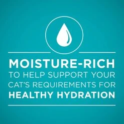 Purina ONE Indoor Advantage High Protein Ocean Whitefish & Rice Wet Cat Food -Furry Friends 166131 PT6. AC SS1800 V1590696691