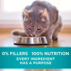 Purina ONE Indoor Advantage High Protein Ocean Whitefish & Rice Wet Cat Food -Furry Friends 166131 PT7. AC SS1800 V1590696756