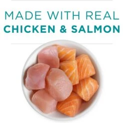 Purina ONE Grain-Free Natural Pate Healthy Kitten Chicken & Salmon Recipe Wet Kitten Food 14 Purina ONE Grain-Free Natural Pate Healthy Kitten Chicken & Salmon Recipe Wet Kitten Food -Furry Friends 166133 PT3. AC SS1800 V1658189061